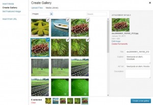 New Gallery Lets You Easily Select Existing Photos to Insert Galleries or Reuse single photos for news posts.