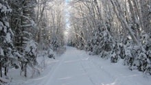 snowmobile association trails closed