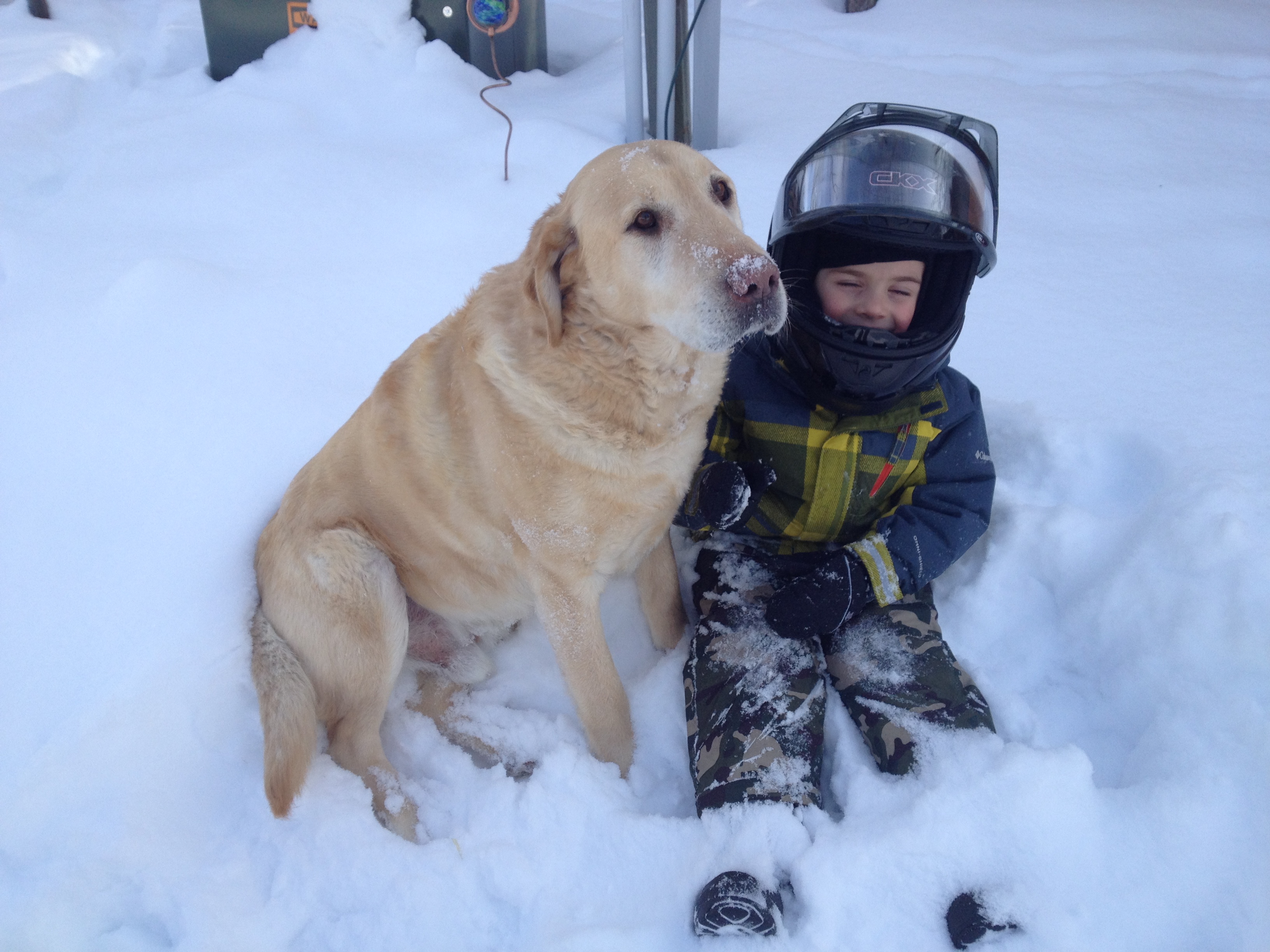 My Boys Love the Snow!